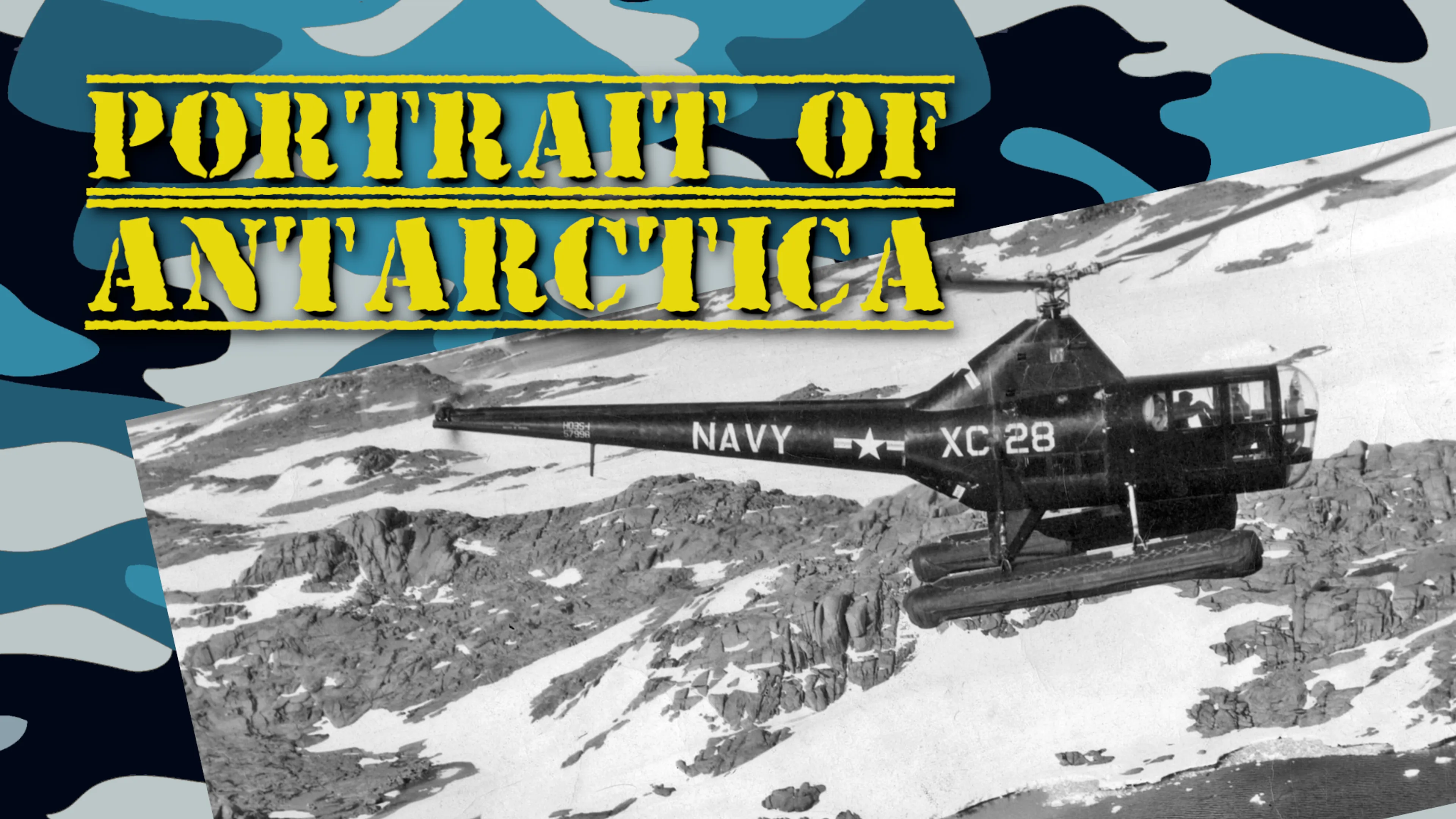 Portrait of Antarctica poster
